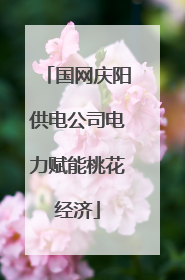 国网庆阳供电公司电力赋能桃花经济