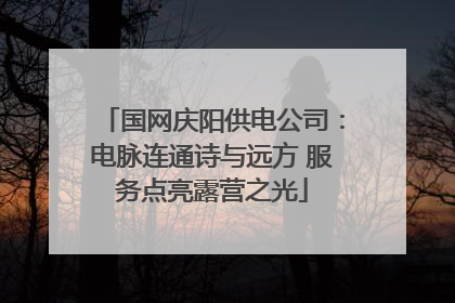 国网庆阳供电公司：电脉连通诗与远方 服务点亮露营之光