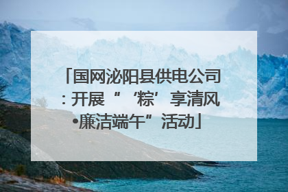 国网泌阳县供电公司：开展“‘粽’享清风 •廉洁端午”活动