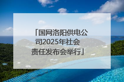 国网洛阳供电公司2025年社会责任发布会举行