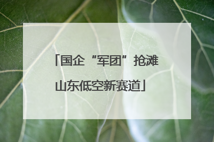 国企“军团”抢滩山东低空新赛道