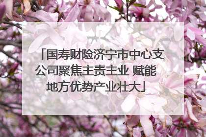 国寿财险济宁市中心支公司聚焦主责主业 赋能地方优势产业壮大