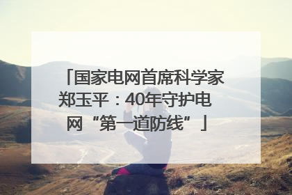 国家电网首席科学家郑玉平：40年守护电网“第一道防线”