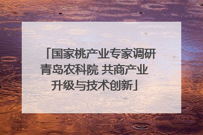 国家桃产业专家调研青岛农科院 共商产业升级与技术创新