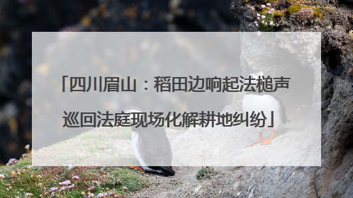 四川眉山：稻田边响起法槌声 巡回法庭现场化解耕地纠纷