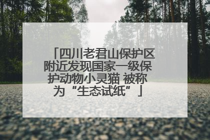 四川老君山保护区附近发现国家一级保护动物小灵猫 被称为“生态试纸”