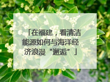 在福建，看清洁能源如何与海洋经济浪漫“邂逅”