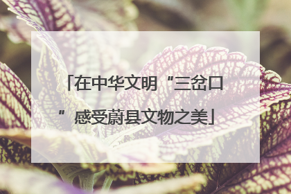 在中华文明“三岔口”感受蔚县文物之美