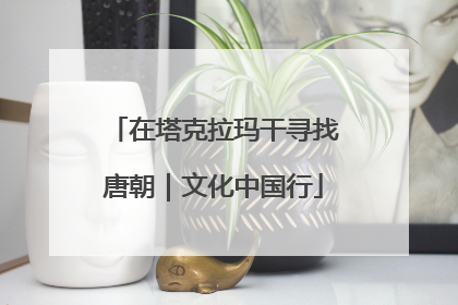 在塔克拉玛干寻找唐朝｜文化中国行