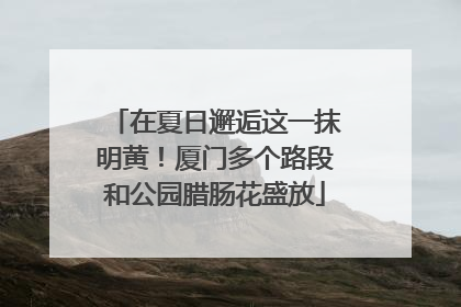 在夏日邂逅这一抹明黄！厦门多个路段和公园腊肠花盛放