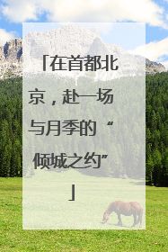 在首都北京，赴一场与月季的“倾城之约”
