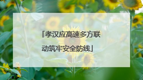 孝汉应高速多方联动筑牢安全防线