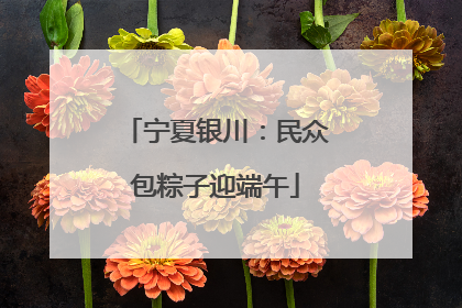 宁夏银川：民众包粽子迎端午