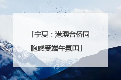 宁夏：港澳台侨同胞感受端午氛围