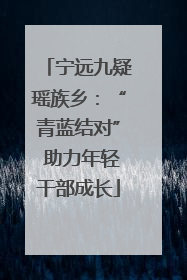 宁远九疑瑶族乡：“青蓝结对” 助力年轻干部成长