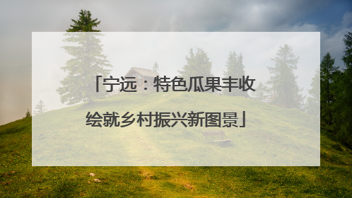 宁远：特色瓜果丰收绘就乡村振兴新图景