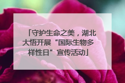 守护生命之美，湖北大悟开展“国际生物多样性日”宣传活动