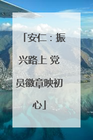 安仁：振兴路上 党员徽章映初心