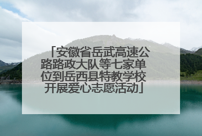 安徽省岳武高速公路路政大队等七家单位到岳西县特教学校开展爱心志愿活动