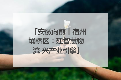安徽向前丨宿州埇桥区：建智慧物流 兴产业引擎