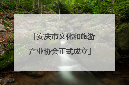 安庆市文化和旅游产业协会正式成立