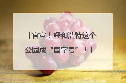 官宣！呼和浩特这个公园成“国字号”！