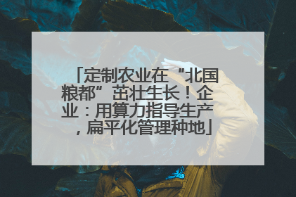 定制农业在“北国粮都”茁壮生长！企业：用算力指导生产，扁平化管理种地