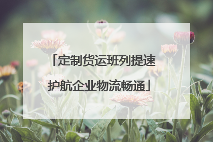 定制货运班列提速 护航企业物流畅通