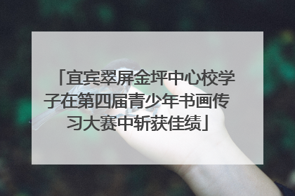 宜宾翠屏金坪中心校学子在第四届青少年书画传习大赛中斩获佳绩
