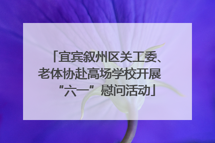 宜宾叙州区关工委、老体协赴高场学校开展“六一”慰问活动