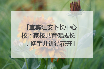 宜宾江安下长中心校：家校共育促成长，携手并进待花开