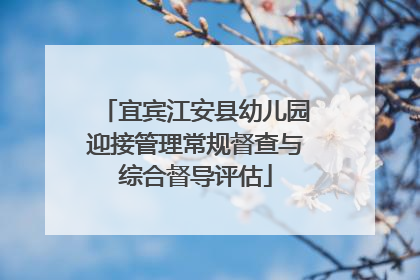 宜宾江安县幼儿园迎接管理常规督查与综合督导评估