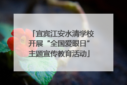 宜宾江安水清学校开展“全国爱眼日”主题宣传教育活动