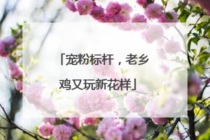 宠粉标杆，老乡鸡又玩新花样