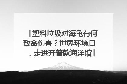 塑料垃圾对海龟有何致命伤害？世界环境日，走进开普敦海洋馆