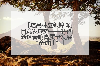 塔吊林立织锦 项目竞发成势——鲁西新区奏响高质量发展“奋进曲”