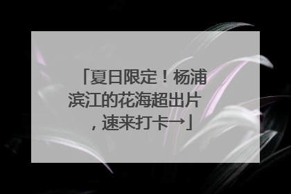 夏日限定！杨浦滨江的花海超出片，速来打卡→