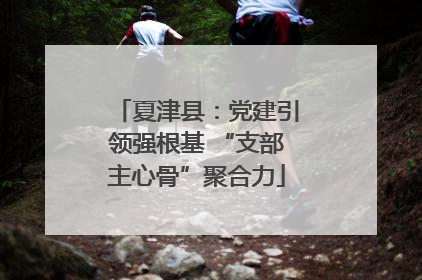夏津县：党建引领强根基 “支部主心骨”聚合力