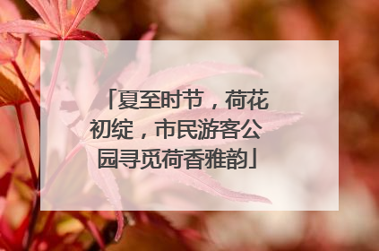 夏至时节，荷花初绽，市民游客公园寻觅荷香雅韵
