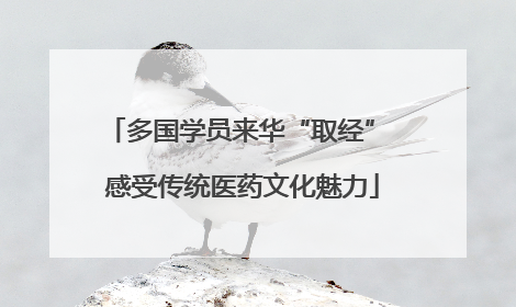 多国学员来华“取经” 感受传统医药文化魅力