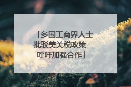 多国工商界人士批驳美关税政策 呼吁加强合作