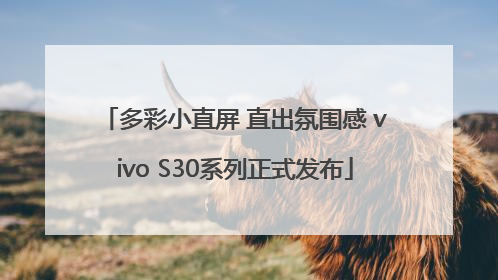 多彩小直屏 直出氛围感 vivo S30系列正式发布