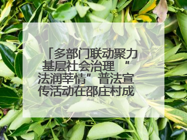 多部门联动聚力基层社会治理 “法润莘情”普法宣传活动在邵庄村成功举办