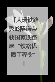 大瑞铁路秀岭隧道荣获国家铁路局“铁路优质工程奖”