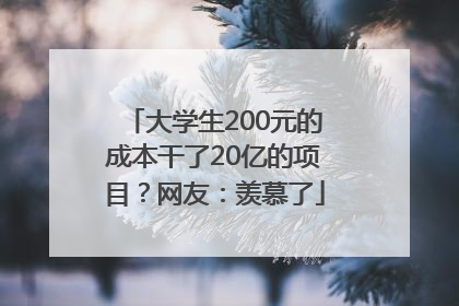 大学生200元的成本干了20亿的项目？网友：羡慕了
