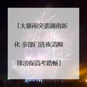 大暴雨突袭湖南新化 多部门连夜清障排涝保高考路畅