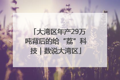 大湾区年产29万吨背后的给“荔”科技｜数说大湾区