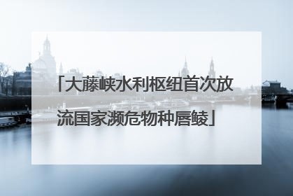 大藤峡水利枢纽首次放流国家濒危物种唇鲮