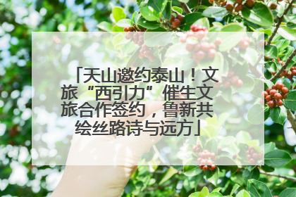 天山邀约泰山！文旅“西引力”催生文旅合作签约，鲁新共绘丝路诗与远方