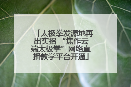 太极拳发源地再出实招 “焦作云端太极拳”网络直播教学平台开通